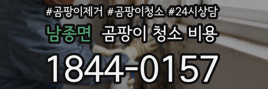 남종면 곰팡이 청소 비용
