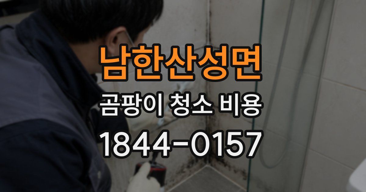 남한산성면 곰팡이 청소 비용