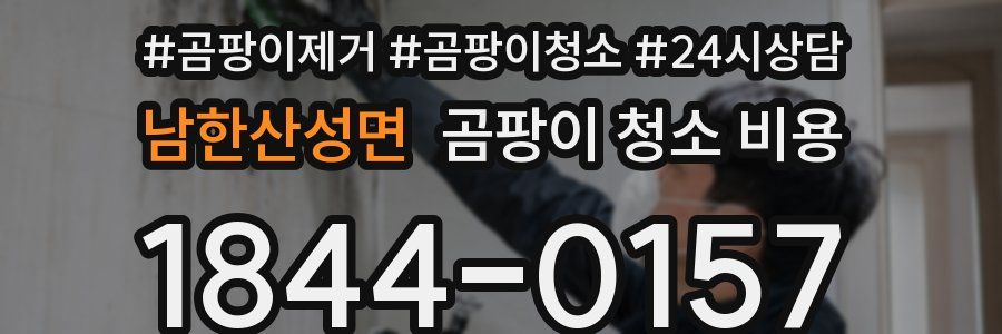 남한산성면 곰팡이 청소 비용
