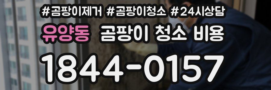 유양동 곰팡이 청소 비용