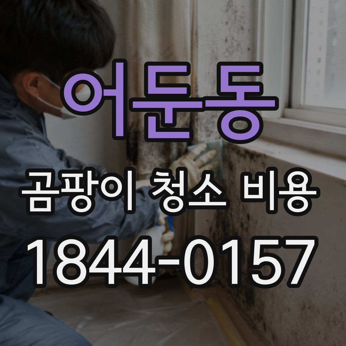 어둔동 곰팡이 청소 비용