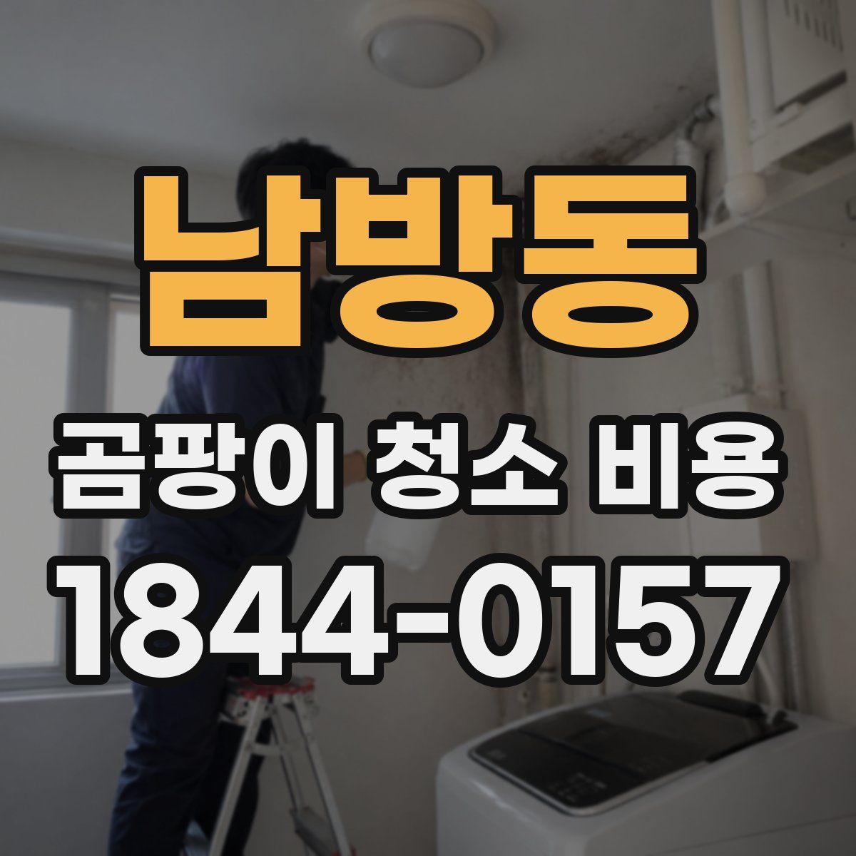 남방동 곰팡이 청소 비용