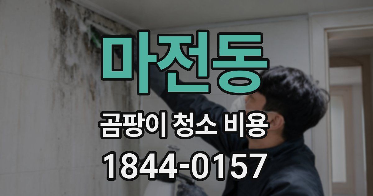 마전동 곰팡이 청소 비용