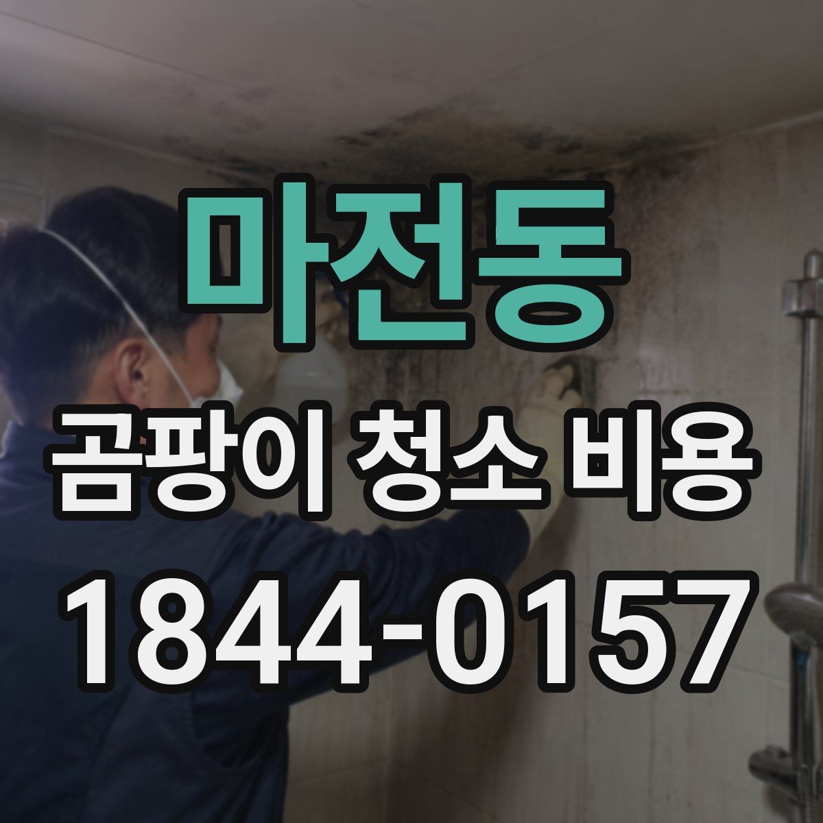 마전동 곰팡이 청소 비용