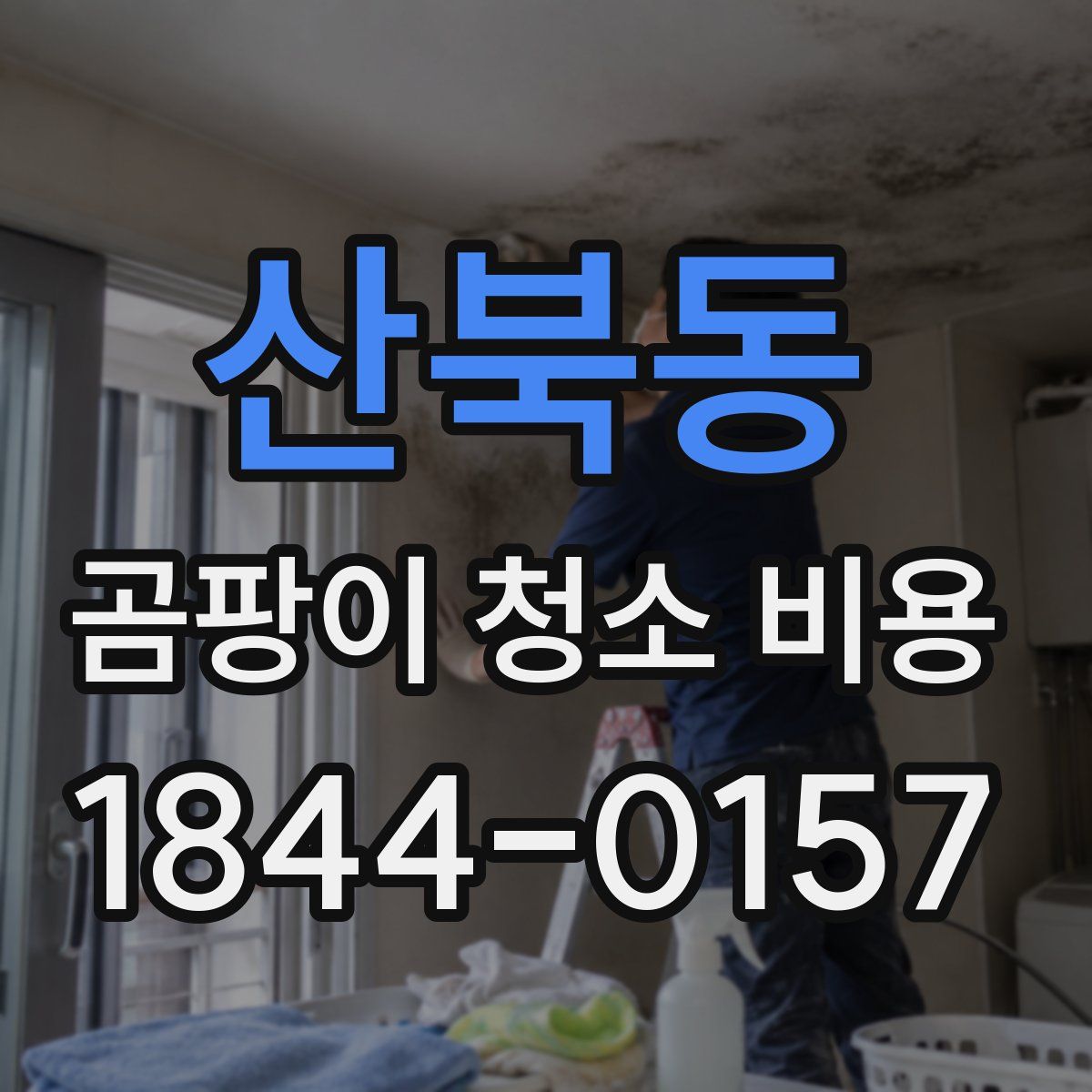 산북동 곰팡이 청소 비용
