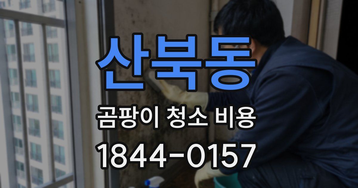 산북동 곰팡이 청소 비용