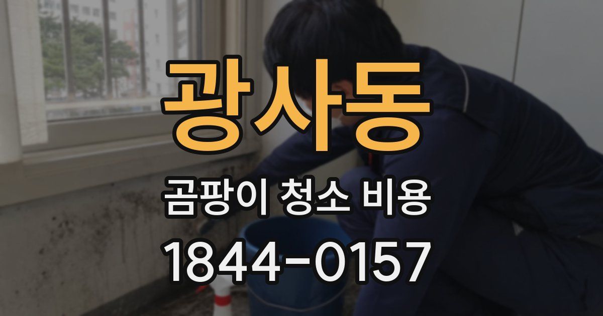 광사동 곰팡이 청소 비용