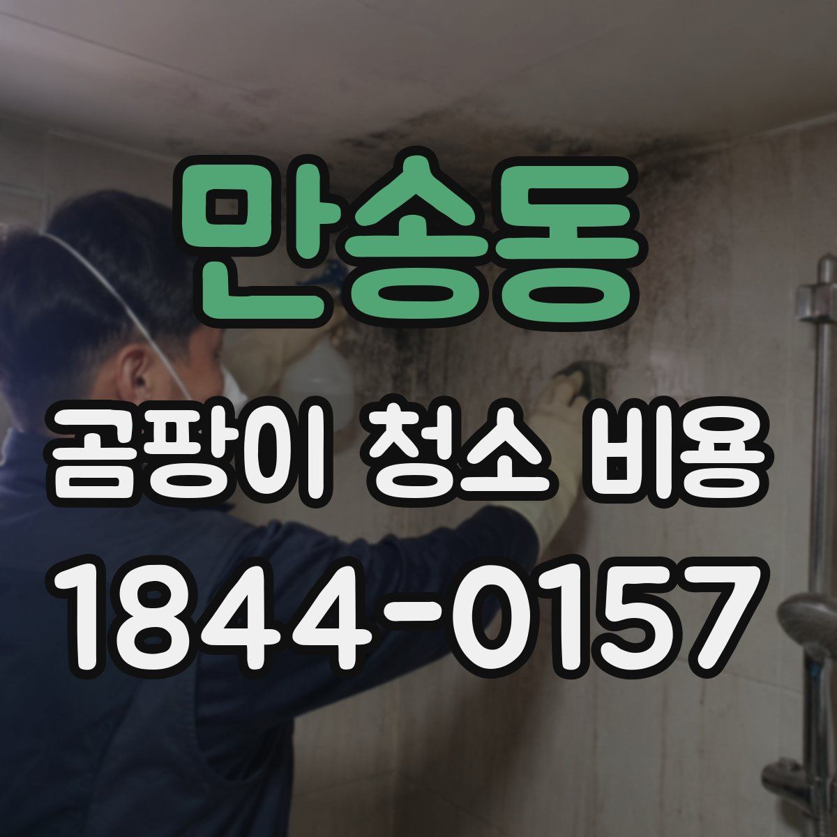 만송동 곰팡이 청소 비용