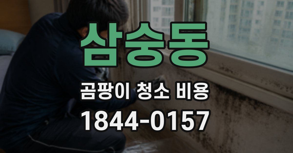 삼숭동 곰팡이 청소 비용