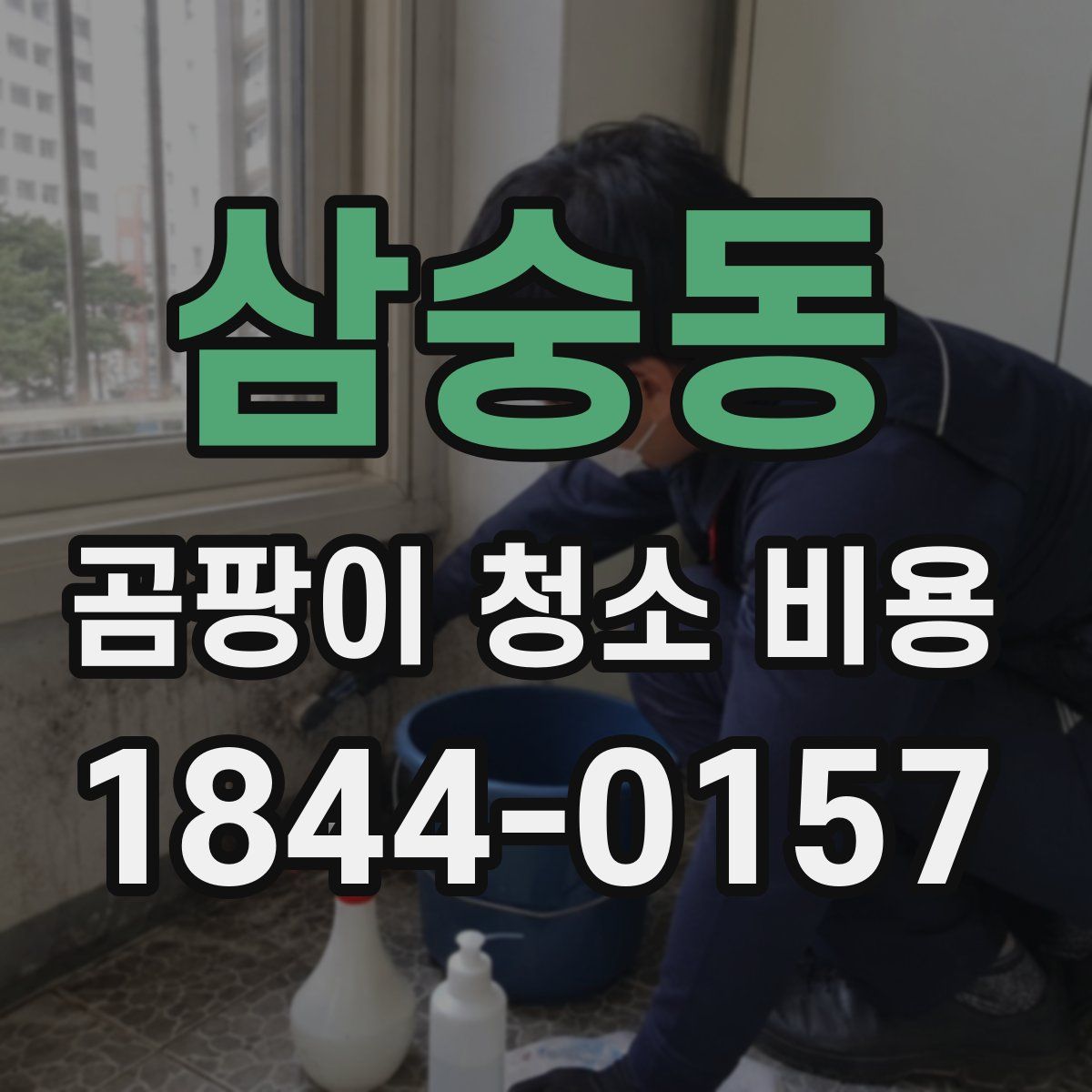 삼숭동 곰팡이 청소 비용