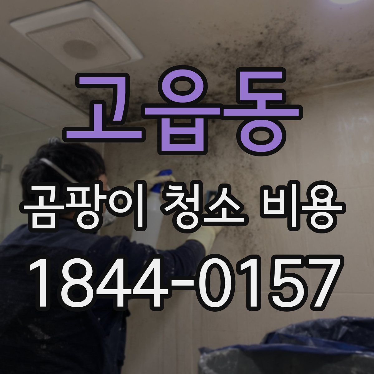 고읍동 곰팡이 청소 비용