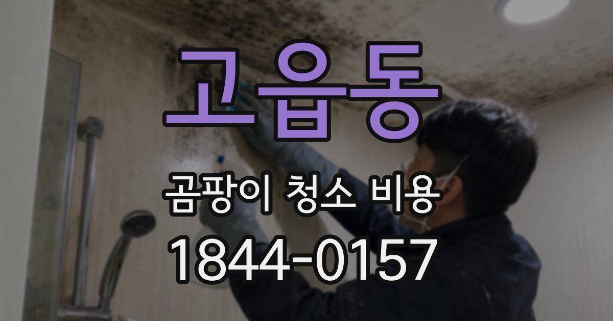 고읍동 곰팡이 청소 비용