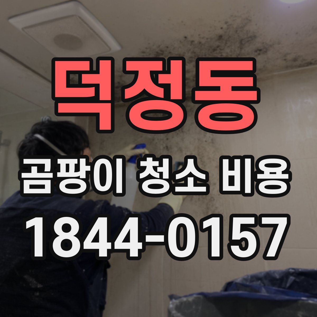 덕정동 곰팡이 청소 비용