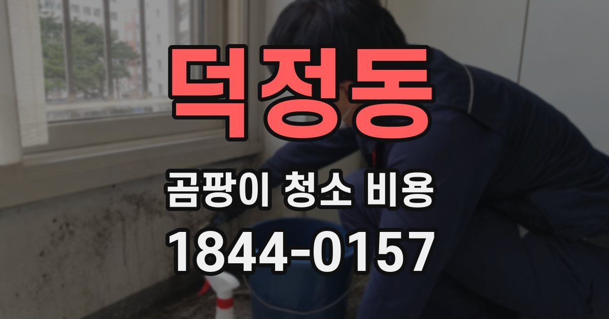 덕정동 곰팡이 청소 비용