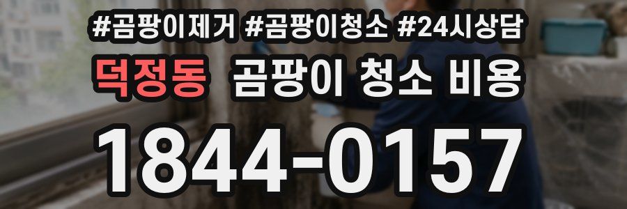 덕정동 곰팡이 청소 비용