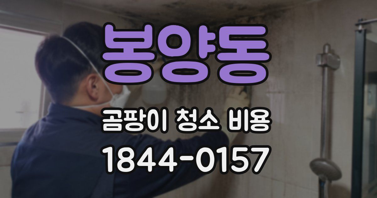 봉양동 곰팡이 청소 비용