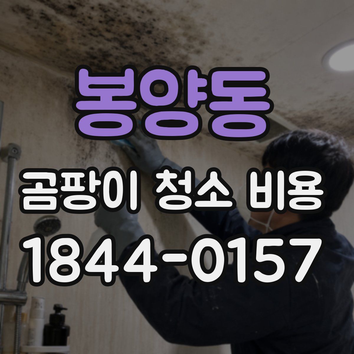 봉양동 곰팡이 청소 비용