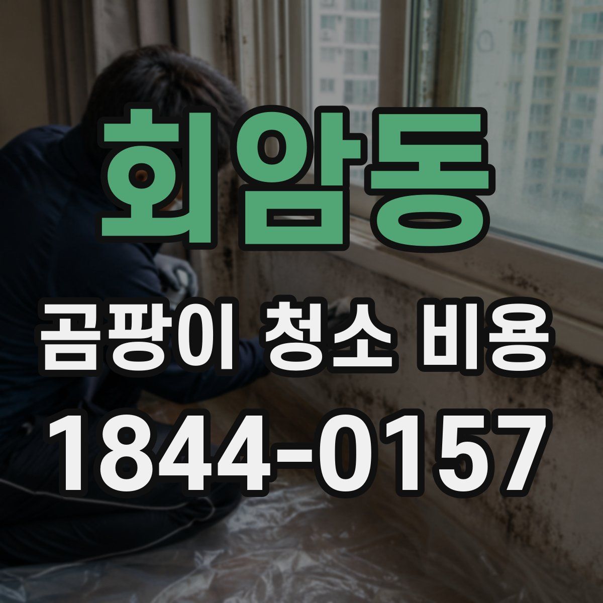 회암동 곰팡이 청소 비용