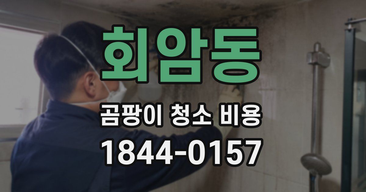 회암동 곰팡이 청소 비용