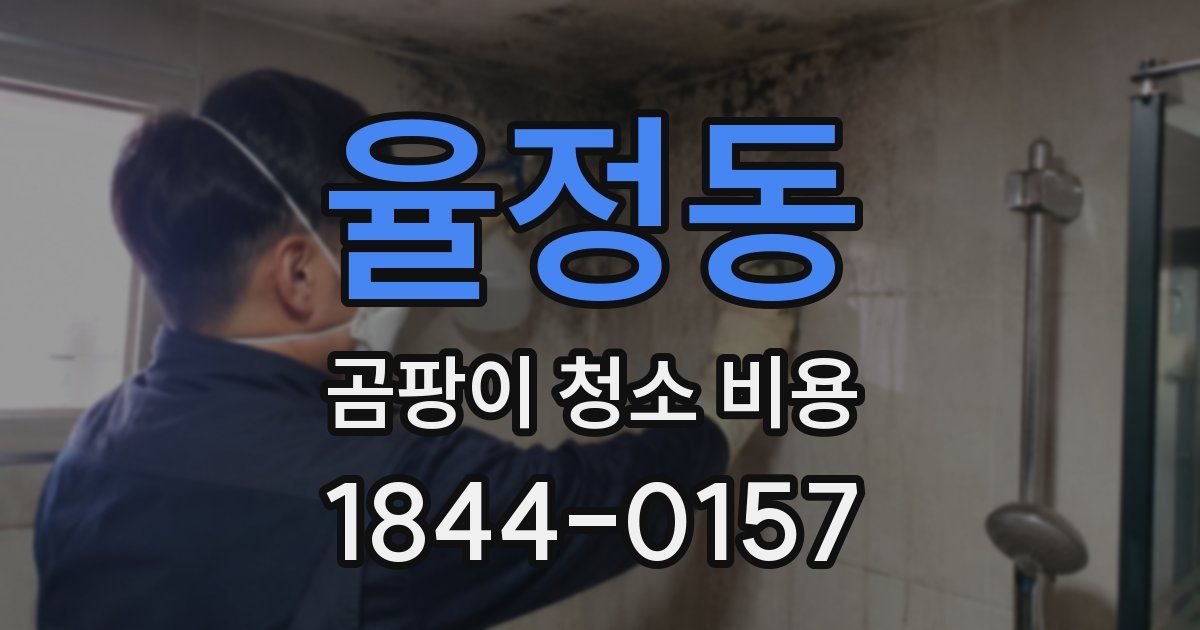 율정동 곰팡이 청소 비용