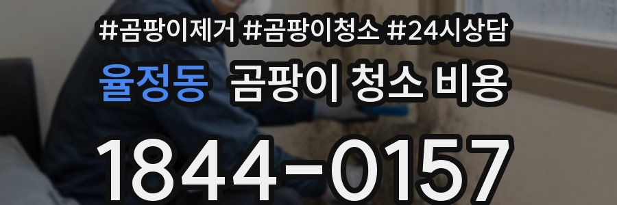 율정동 곰팡이 청소 비용