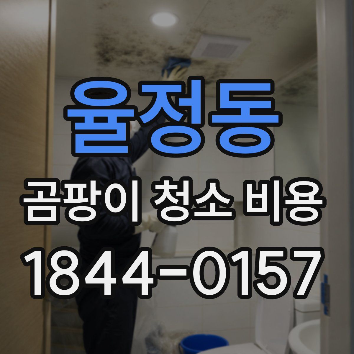 율정동 곰팡이 청소 비용