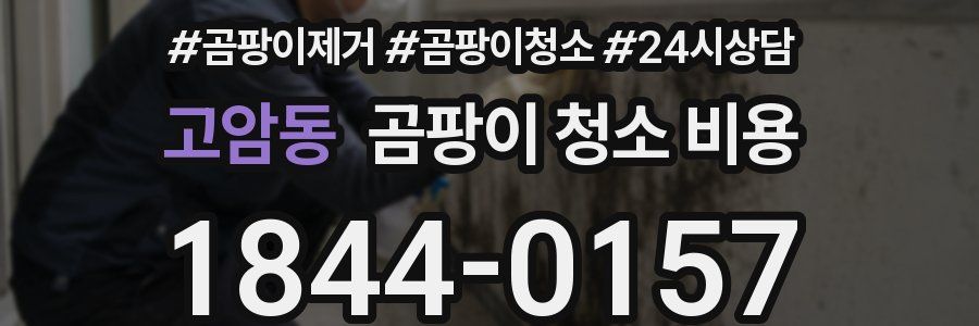 고암동 곰팡이 청소 비용