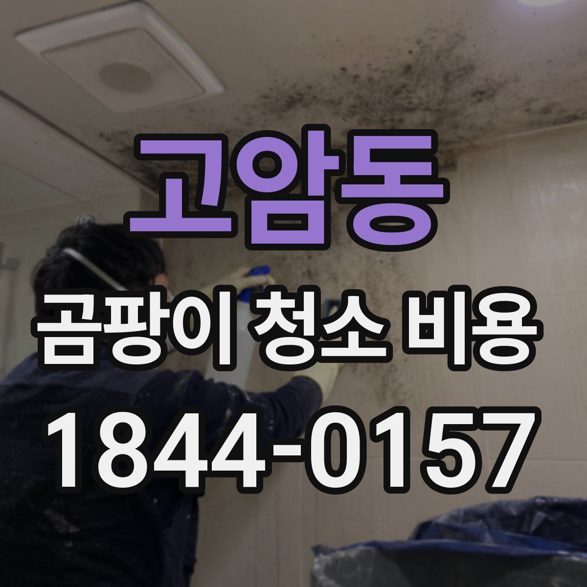 고암동 곰팡이 청소 비용