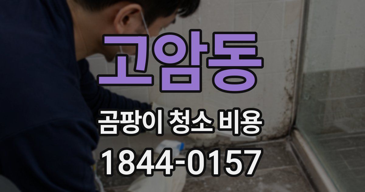 고암동 곰팡이 청소 비용