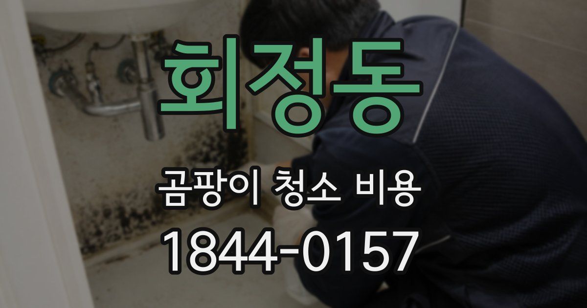 회정동 곰팡이 청소 비용