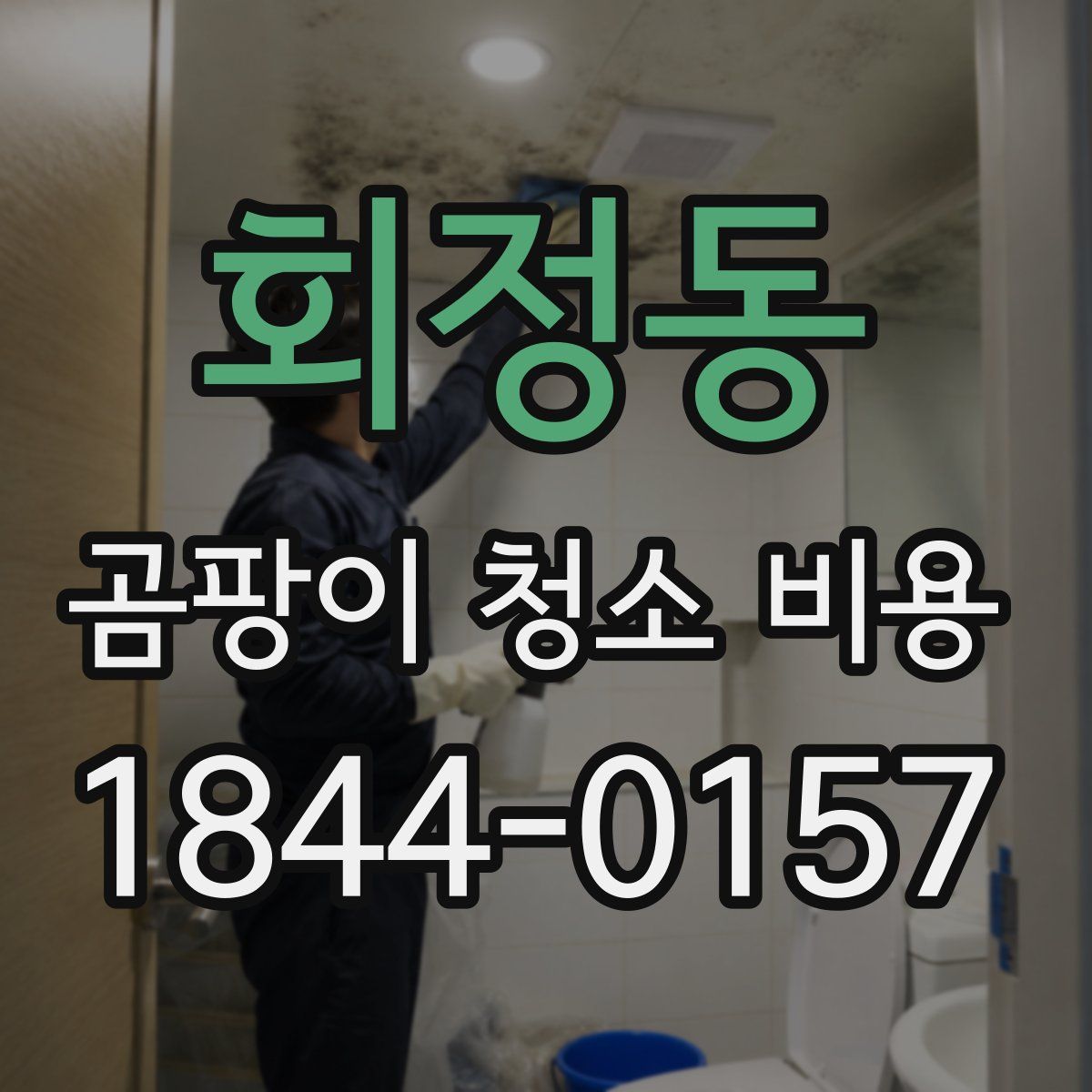 회정동 곰팡이 청소 비용