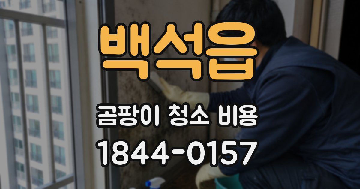 백석읍 곰팡이 청소 비용
