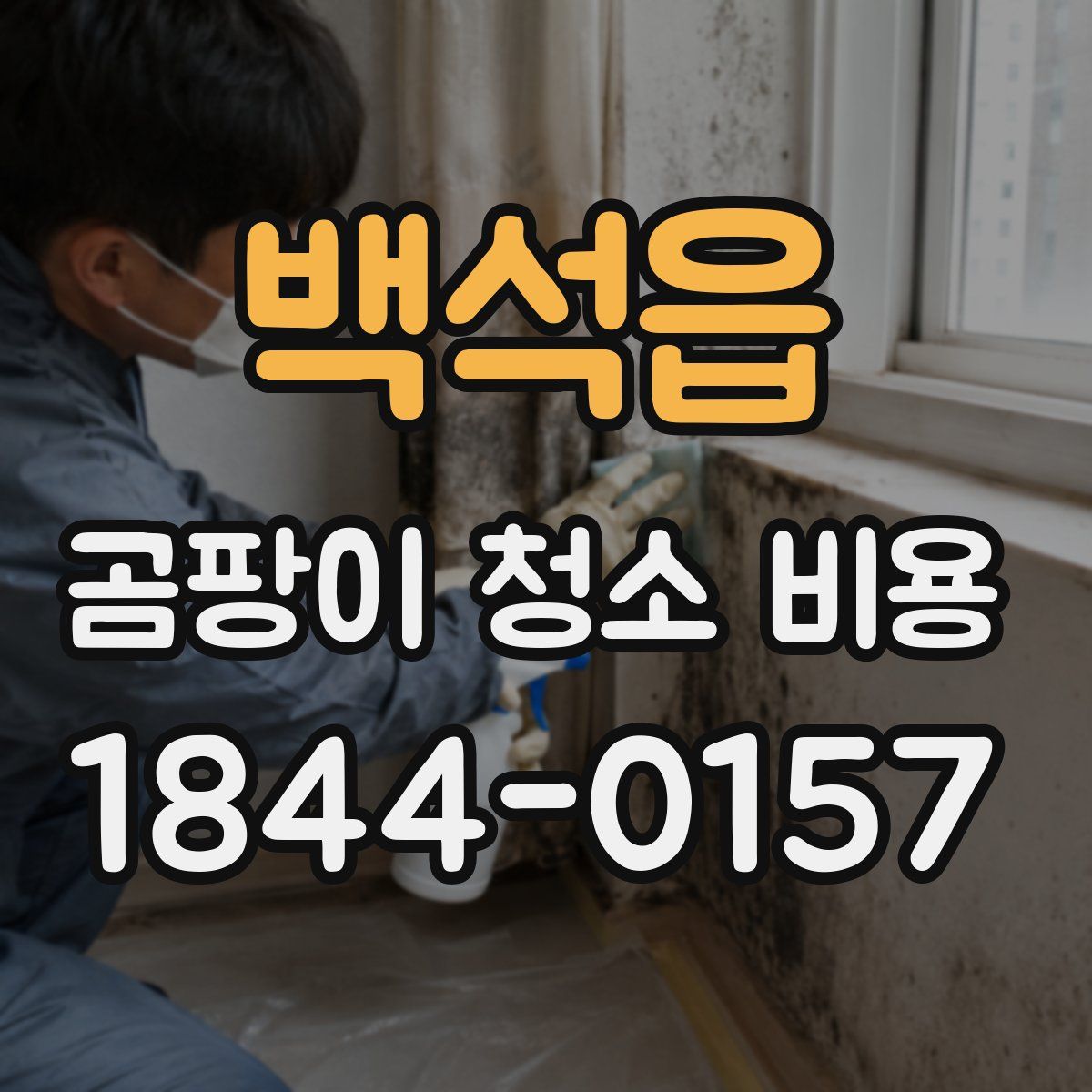 백석읍 곰팡이 청소 비용
