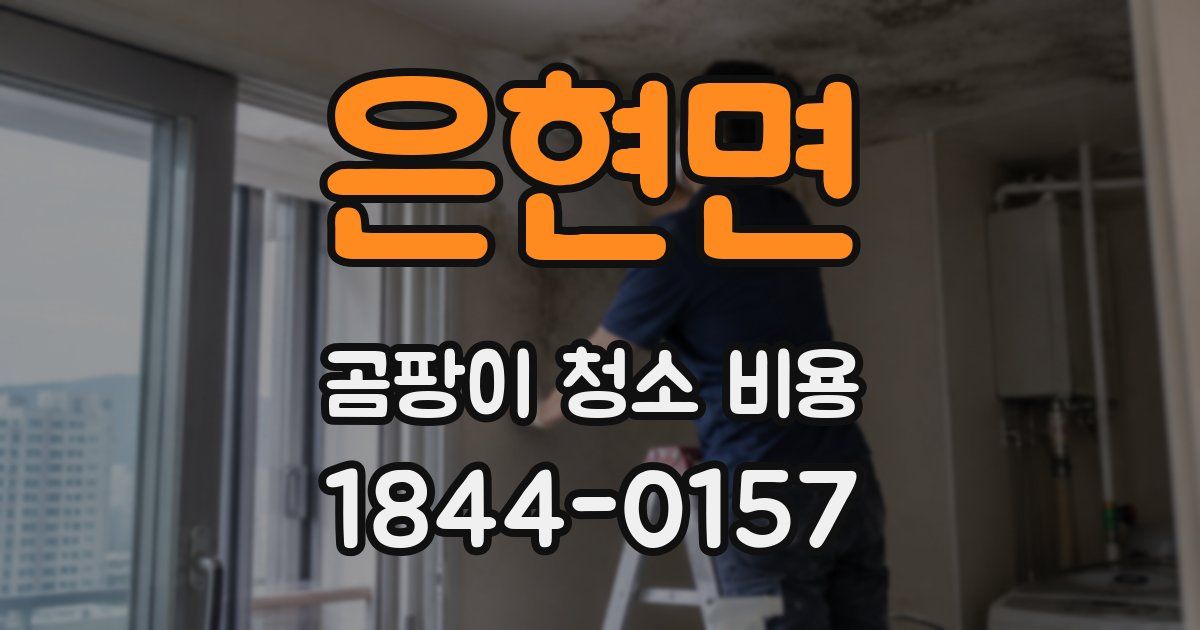 은현면 곰팡이 청소 비용