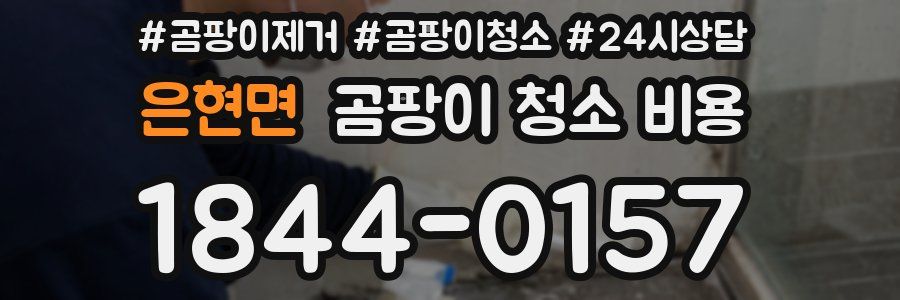 은현면 곰팡이 청소 비용