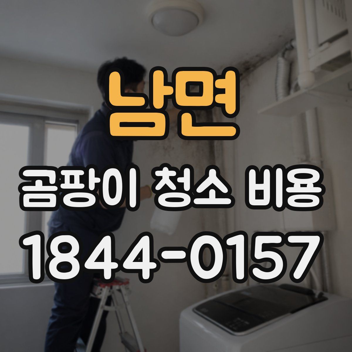 남면 곰팡이 청소 비용