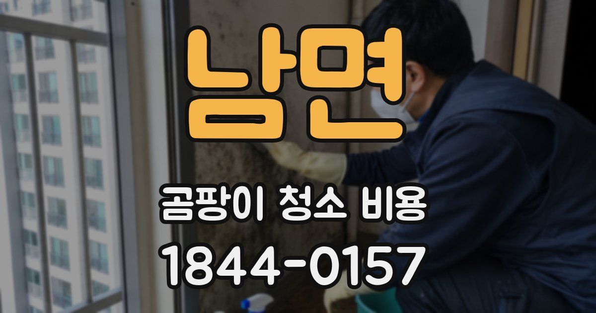 남면 곰팡이 청소 비용