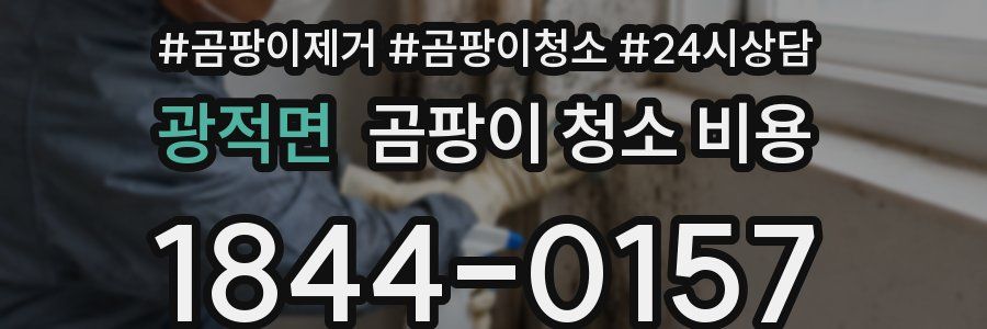 광적면 곰팡이 청소 비용