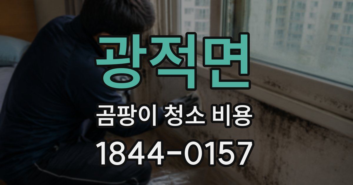 광적면 곰팡이 청소 비용