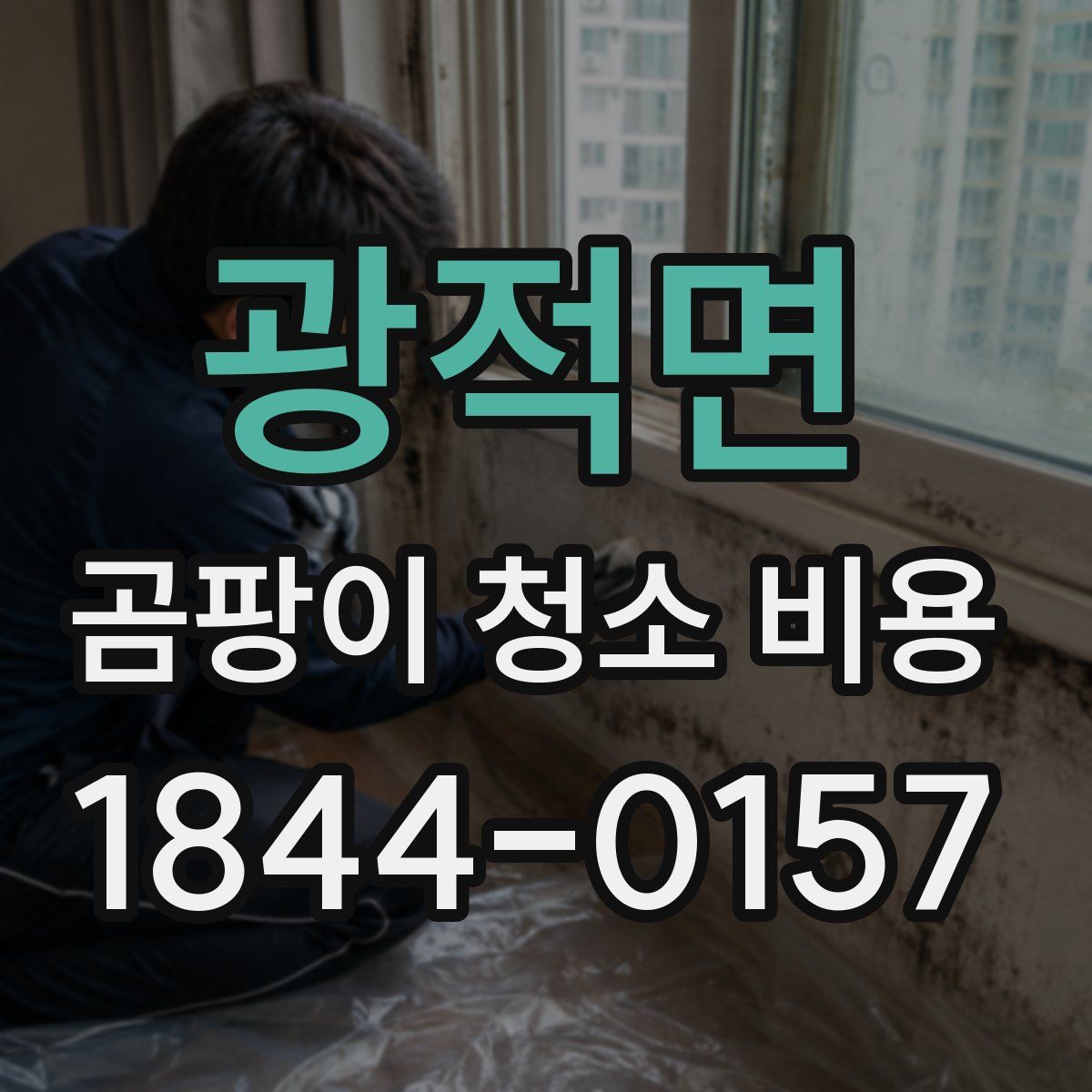 광적면 곰팡이 청소 비용