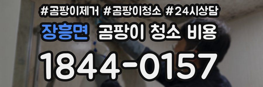 장흥면 곰팡이 청소 비용