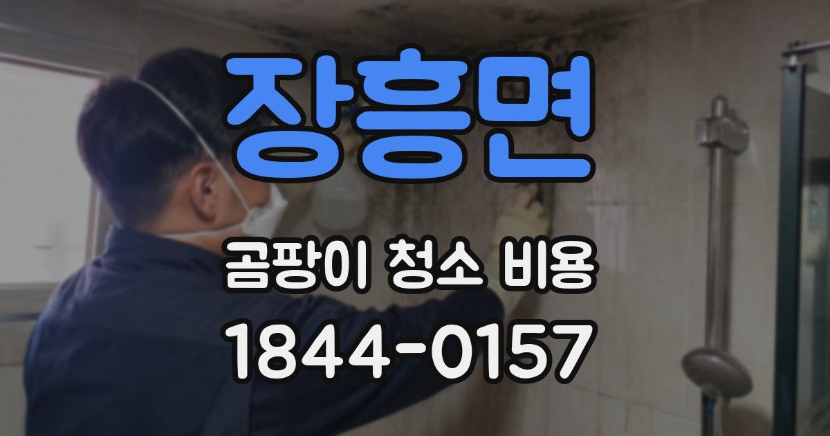 장흥면 곰팡이 청소 비용