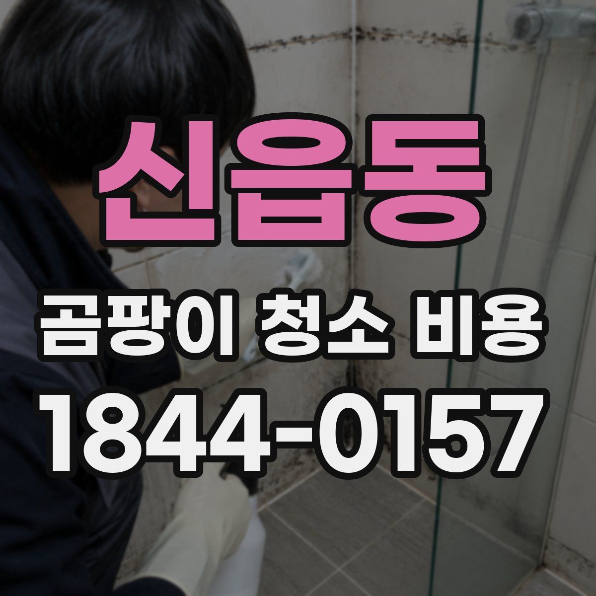 신읍동 곰팡이 청소 비용