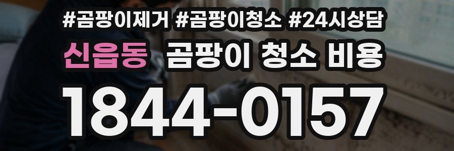 신읍동 곰팡이 청소 비용