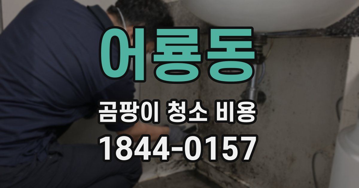 어룡동 곰팡이 청소 비용