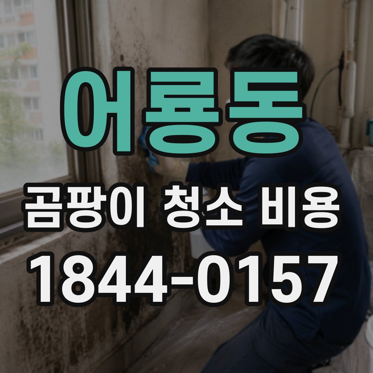 어룡동 곰팡이 청소 비용