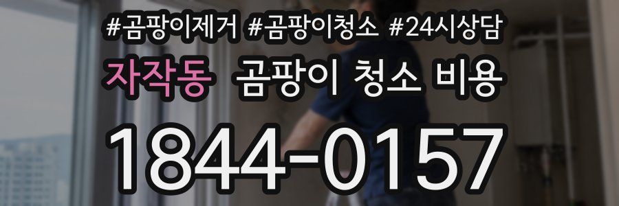 자작동 곰팡이 청소 비용