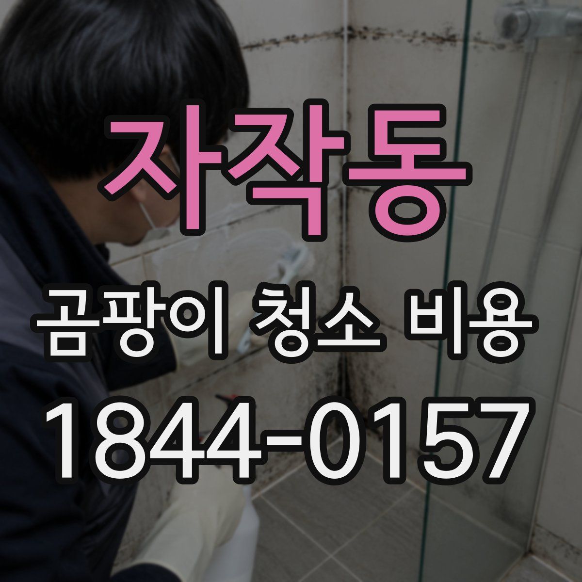 자작동 곰팡이 청소 비용