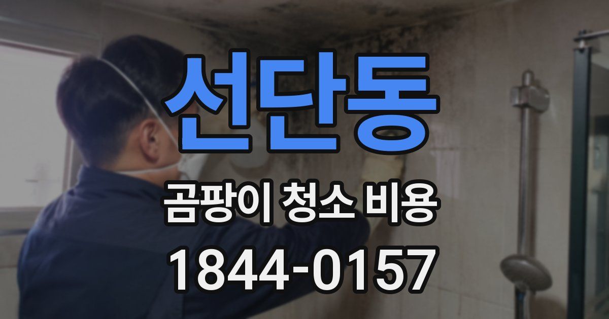 선단동 곰팡이 청소 비용