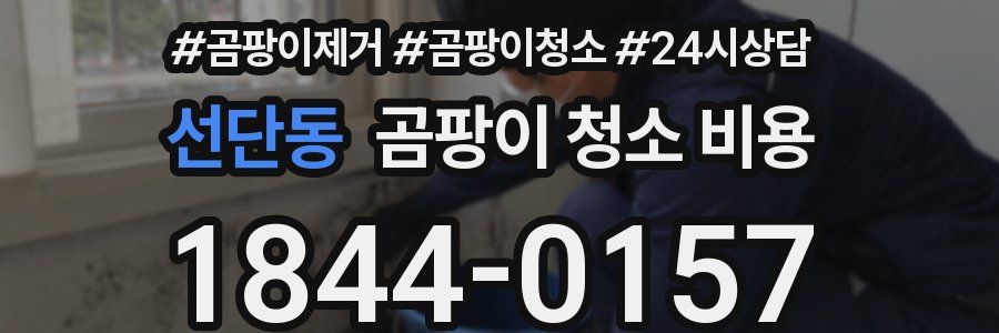 선단동 곰팡이 청소 비용
